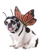 Pet Butterfly Costume, halloween costume (Pet Butterfly Costume)