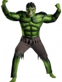 Plus Size Avengers Hulk Muscle Costume, halloween costume (Plus Size Avengers Hulk Muscle Costume)