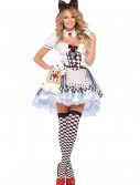 Plus Size Delightful Alice Costume, halloween costume (Plus Size Delightful Alice Costume)