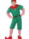 Plus Size Holiday Elf Costume, halloween costume (Plus Size Holiday Elf Costume)