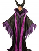 Plus Size Magnificent Witch Costume, halloween costume (Plus Size Magnificent Witch Costume)
