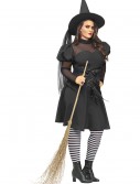 Plus Size Ms. Witch Costume, halloween costume (Plus Size Ms. Witch Costume)