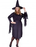 Plus Size Tattered Witch Costume, halloween costume (Plus Size Tattered Witch Costume)