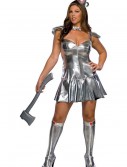 Plus Size Tin Woman Costume, halloween costume (Plus Size Tin Woman Costume)