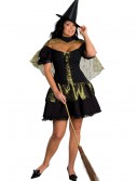 Plus Size Wicked Witch of the West Costume, halloween costume (Plus Size Wicked Witch of the West Costume)