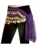 Purple Belly Dance Hip Scarf, halloween costume (Purple Belly Dance Hip Scarf)