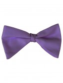 Purple Bow Tie, halloween costume (Purple Bow Tie)