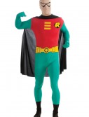 Robin 2nd Skin Costume, halloween costume (Robin 2nd Skin Costume)