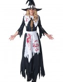 Salem Witch Costume, halloween costume (Salem Witch Costume)