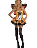 Sexy Adult Butterfly Costume, halloween costume (Sexy Adult Butterfly Costume)