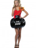 She's the Bomb Costume, halloween costume (She's the Bomb Costume)