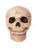 Skull with Movable Jaw, halloween costume (Skull with Movable Jaw)