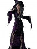 Sorceress Costume, halloween costume (Sorceress Costume)