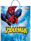 Spiderman Trick-or-Treat Bag, halloween costume (Spiderman Trick-or-Treat Bag)