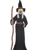 Standing Witch with Light Up Eyes, halloween costume (Standing Witch with Light Up Eyes)