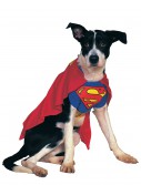 Superman Dog Costume, halloween costume (Superman Dog Costume)