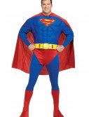 Superman Plus Size Costume, halloween costume (Superman Plus Size Costume)