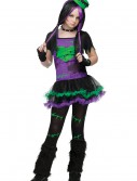 Teen Funkie Frankie Costume, halloween costume (Teen Funkie Frankie Costume)