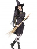 Teen Ms. Witch Costume, halloween costume (Teen Ms. Witch Costume)