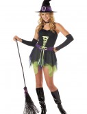 Teen Whimsical Witch Costume, halloween costume (Teen Whimsical Witch Costume)