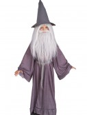 The Hobbit Kids Gandalf Costume, halloween costume (The Hobbit Kids Gandalf Costume)