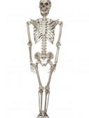 Titan Skeleton, halloween costume (Titan Skeleton)