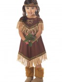 Toddler Li'l Indian Princess Costume, halloween costume (Toddler Li'l Indian Princess Costume)
