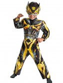 Toddler Transformers 4 Muscle Chest Bumble Bee Costume, halloween costume (Toddler Transformers 4 Muscle Chest Bumble Bee Costume)