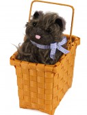 Toto in the Basket, halloween costume (Toto in the Basket)