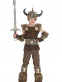 Viking Boy Costume, halloween costume (Viking Boy Costume)