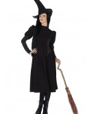 Wicked Elphaba Adult Costume, halloween costume (Wicked Elphaba Adult Costume)