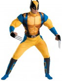 Wolverine Origins Costume, halloween costume (Wolverine Origins Costume)