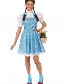 Women's Adult Dorothy Costume, halloween costume (Women's Adult Dorothy Costume)