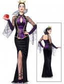 Womens Disney Evil Queen Costume, halloween costume (Womens Disney Evil Queen Costume)
