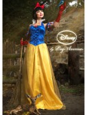 Womens Disney Princess Snow White Costume, halloween costume (Womens Disney Princess Snow White Costume)