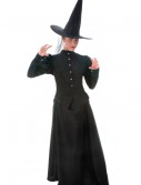 Womens Plus Size Witch Costume, halloween costume (Womens Plus Size Witch Costume)