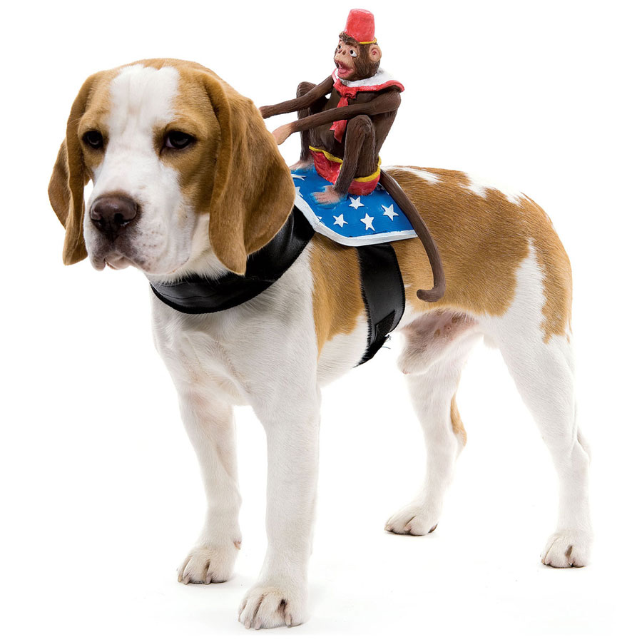 halloween costumes for dogs