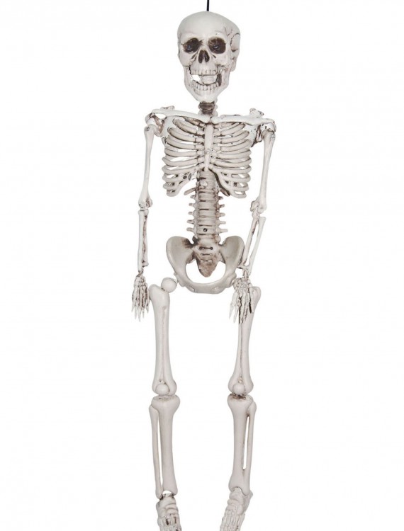 12 Inch Plastic Realistic Skeleton, halloween costume (12 Inch Plastic Realistic Skeleton)
