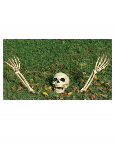 3 Piece Buried Alive Skeleton Kit, halloween costume (3 Piece Buried Alive Skeleton Kit)