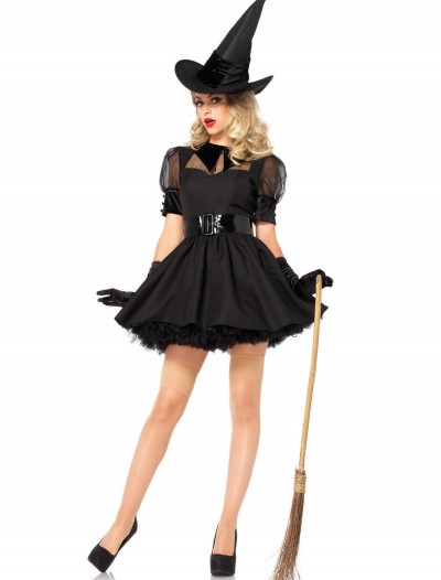 Adult Bewitching Beauty Costume, halloween costume (Adult Bewitching Beauty Costume)