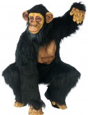 Adult Chimpanzee Costume, halloween costume (Adult Chimpanzee Costume)