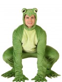 Adult Deluxe Frog Costume, halloween costume (Adult Deluxe Frog Costume)
