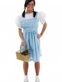 Adult Kansas Girl Costume Dress, halloween costume (Adult Kansas Girl Costume Dress)