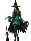 Adult Emerald Witch Costume, halloween costume (Adult Emerald Witch Costume)
