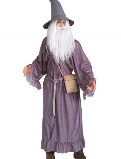 Adult Gandalf Costume, halloween costume (Adult Gandalf Costume)
