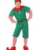 Adult Holiday Elf Costume, halloween costume (Adult Holiday Elf Costume)