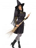 Adult Ms. Witch Costume, halloween costume (Adult Ms. Witch Costume)