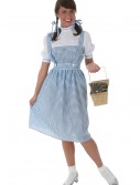 Adult Plus Size Kansas Girl Costume, halloween costume (Adult Plus Size Kansas Girl Costume)