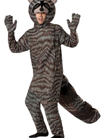 Adult Raccoon Costume, halloween costume (Adult Raccoon Costume)