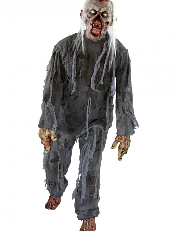 Adult Rotting Costume, halloween costume (Adult Rotting Costume)